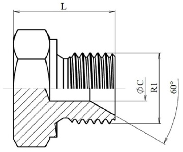 ЗАГЛУШКА BSPP (60º) С НАРУЖНОЙ РЕЗЬБОЙ