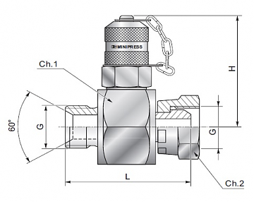 Точка измерения давления М16х2,0 проходник BSP 3/4" (Ш-Г)