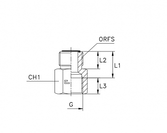 Адаптер ORFS 1.7/16"-BSP 1" (Ш-ВНР)