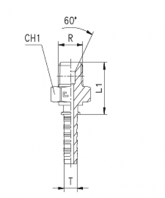 BSPT 1/8"-28/0-04 DN6