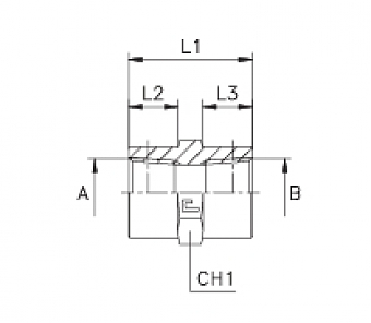 Адаптер с внутренней резьбой NPT1.1/4"